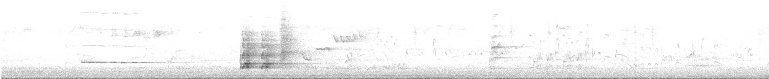 Verdugo Cenizo (melanoptera) - ML645246069