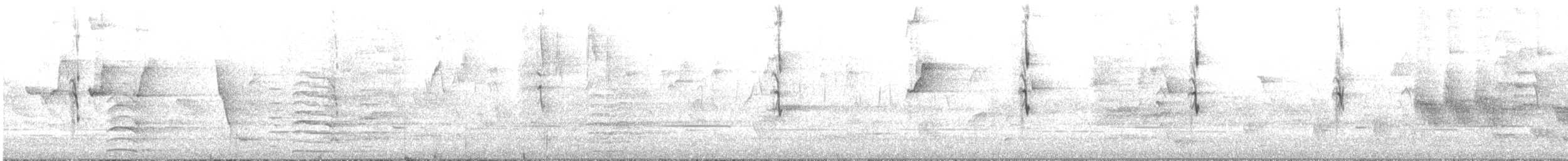 hvitsmykkehonningeter - ML645246185