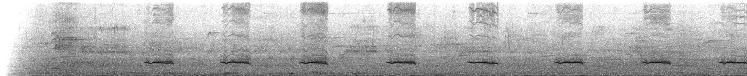 Silbador Cabezón Oriental - ML645246284