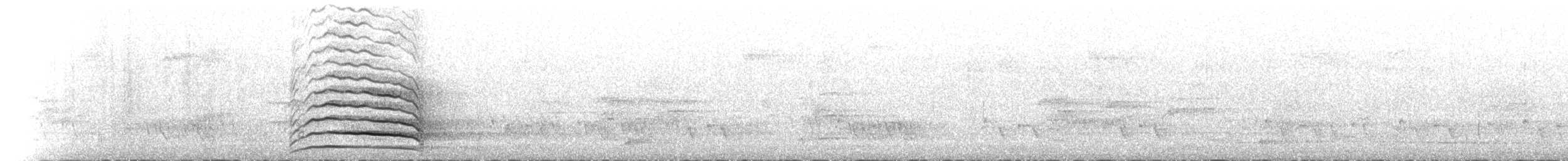 Yellow-tailed Black-Cockatoo - ML645246460