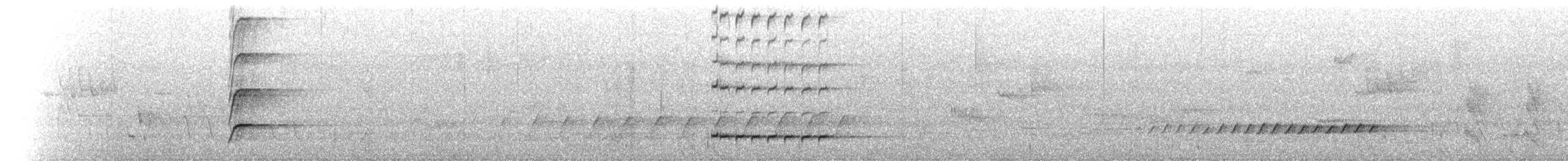 Perico Elegante (adelaidae/subadelaidae) - ML645246493