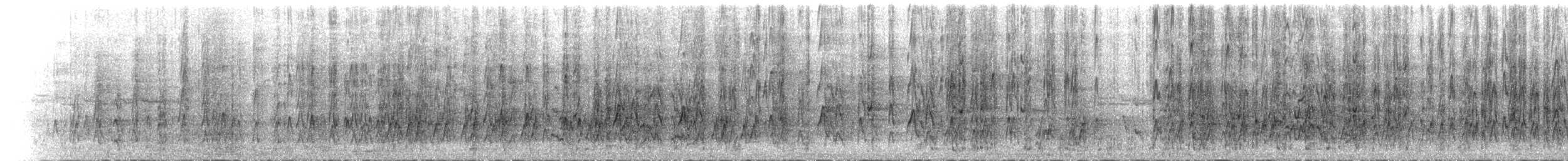 Perico Elegante (adelaidae/subadelaidae) - ML645246494