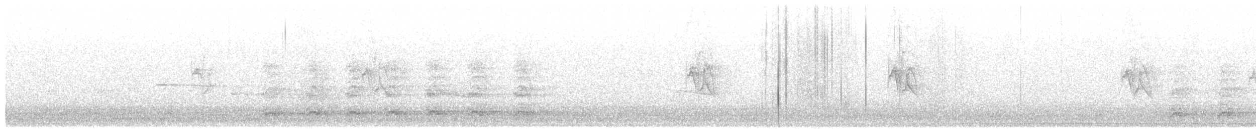 Pine Siskin - ML645246495