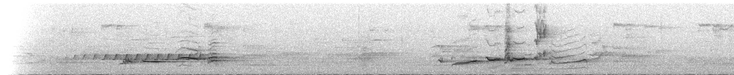 Mirlo Común - ML645246503