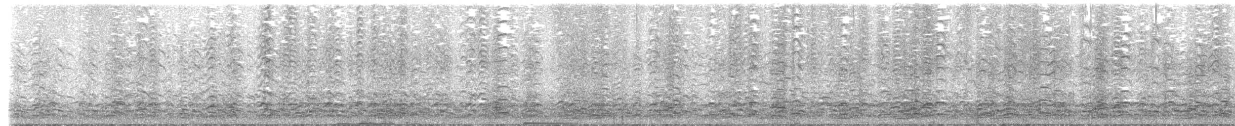 berneška malá - ML645246508