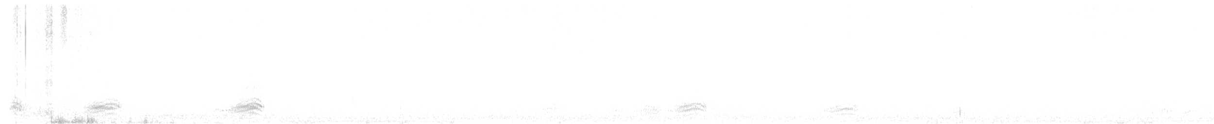 Chihuahuan Raven - ML645246529