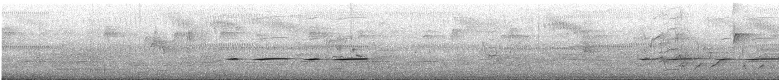 Little Grassbird - ML645246531