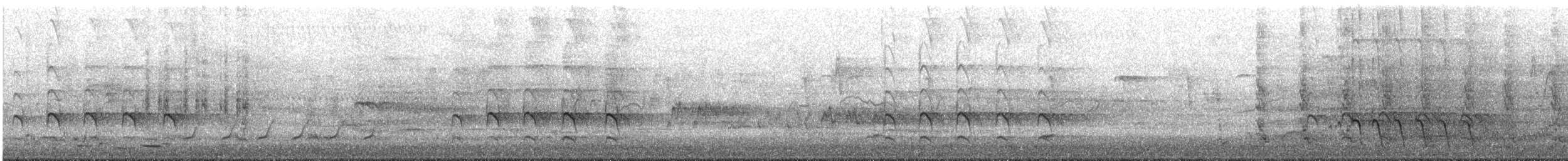 Sacred Kingfisher (Australasian) - ML645246557