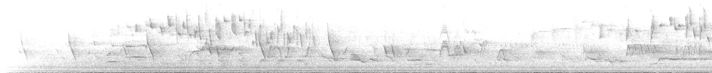 Superb Fairywren - ML645246565