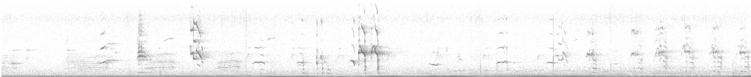 Cacatúa Galah - ML645246592