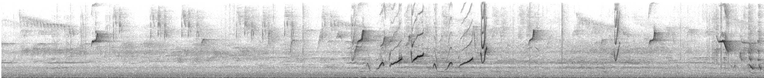 hvitsmykkehonningeter - ML645246595