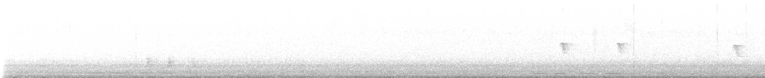 Black Phoebe - ML645246679