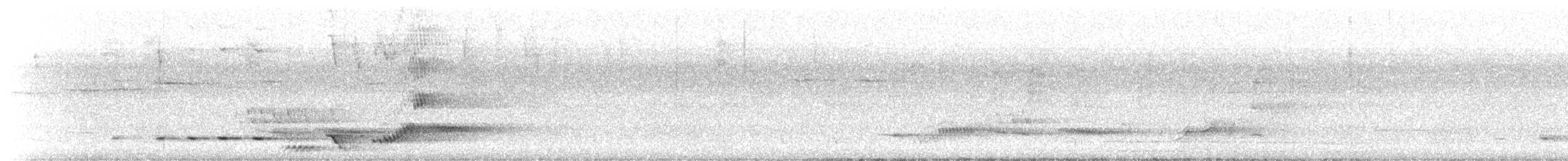 Picanzo Gris - ML645246846