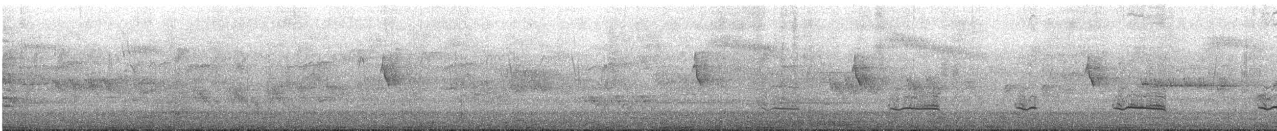 Silbador Cabezón Oriental - ML645246850