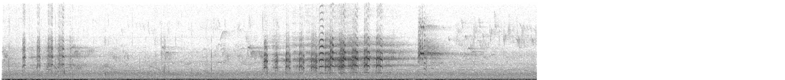 Masked Lapwing (Black-shouldered) - ML645246862