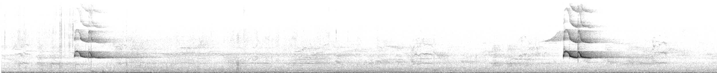 Verdugo Cenizo (melanoptera) - ML645246955