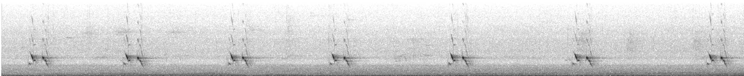 Pardalote Estriado (substriatus) - ML645247037