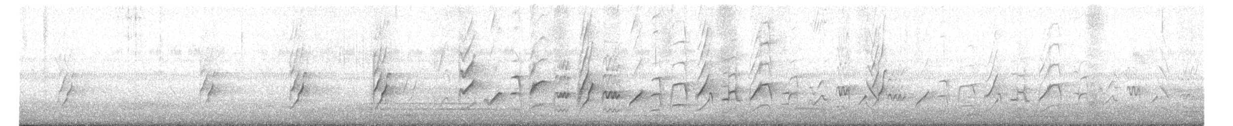 コセイインコ - ML645247082