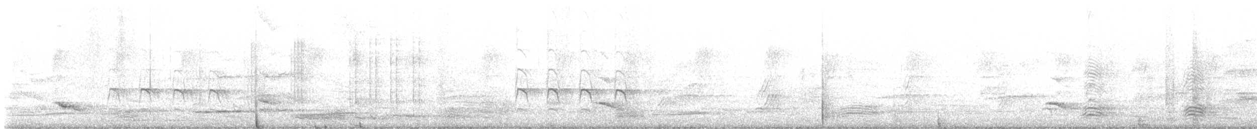 Белокрылый личинкоед-свистун - ML645247113