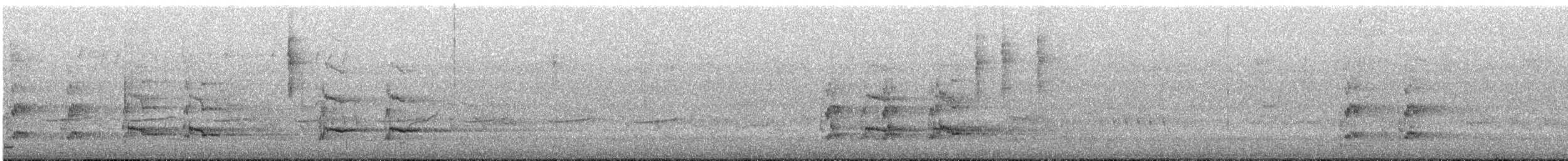 Verdugo Cenizo (melanoptera) - ML645247179