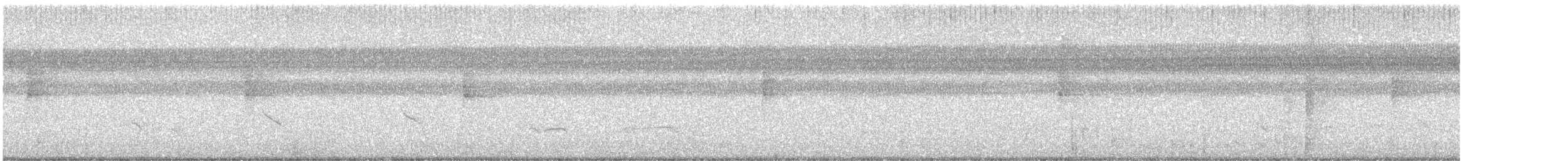 Northern Waterthrush - ML645248973