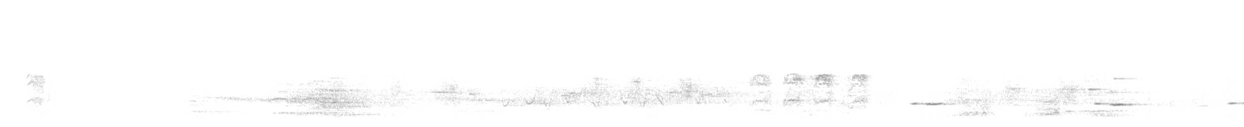 White-naped Honeyeater - ML645249017