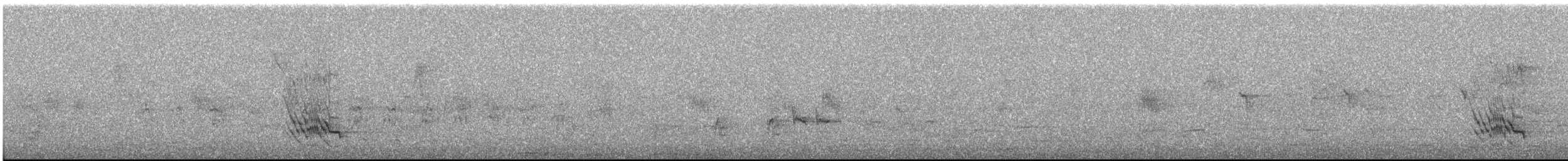 Black-faced Cuckooshrike - ML645249169