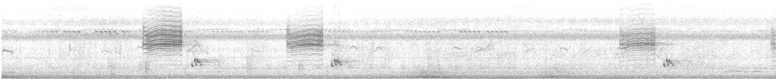 Golden-headed Cisticola - ML645249391