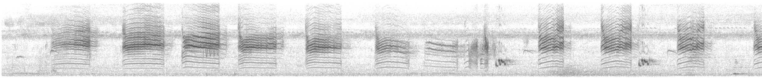 Golden-headed Cisticola - ML645249393