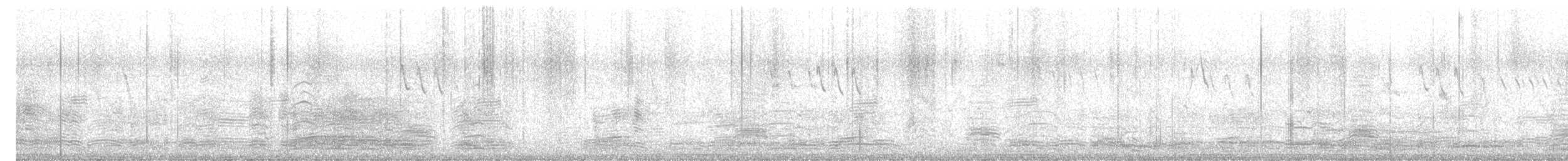 ハイイロガン - ML645249570