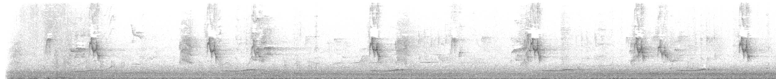 オーストラリアオニカッコウ - ML645249586