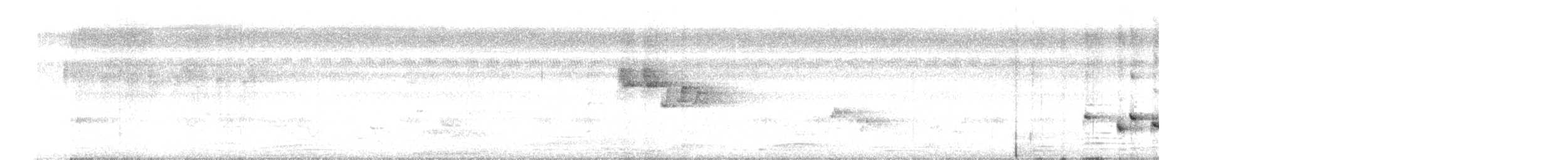 Loten's Sunbird - ML645249734