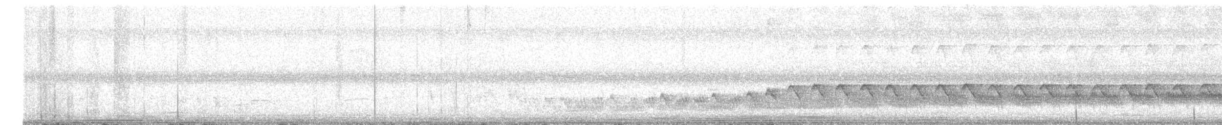 Spotted Crocias - ML645249812