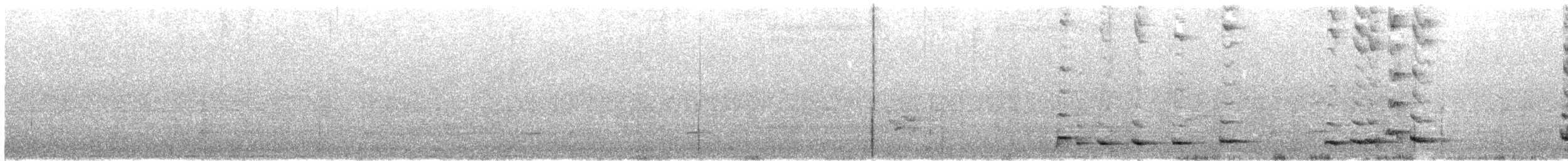 Gray Butcherbird - ML645249859