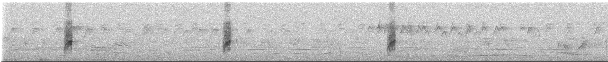 Red Wattlebird - ML645250001