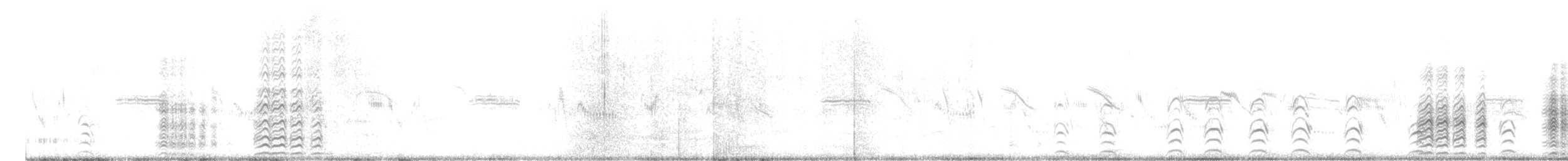 rybák dlouhonohý - ML645250110