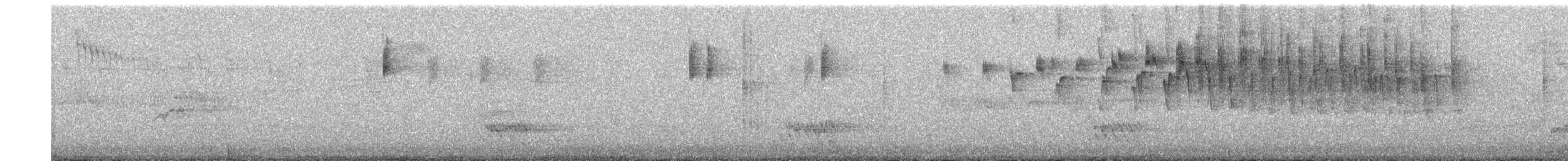 Superb Fairywren - ML645250555