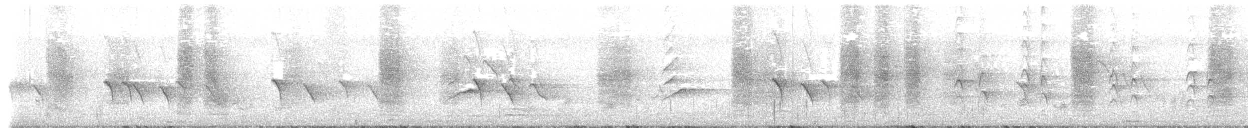 Ashy Drongo - ML645251113