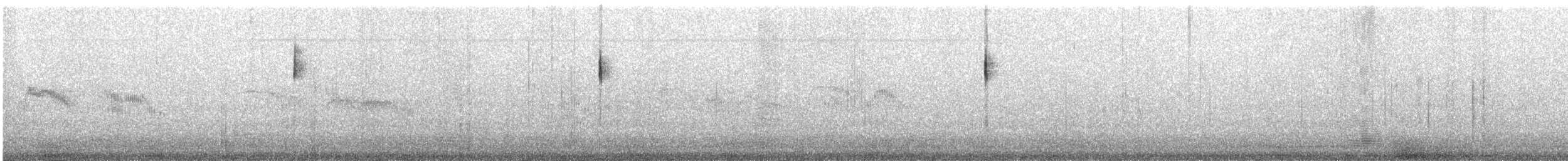 strnad obojkový - ML645251580