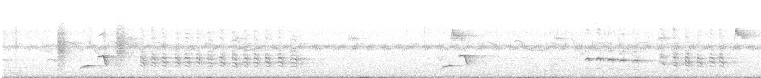 Fork-tailed Drongo - ML645251675