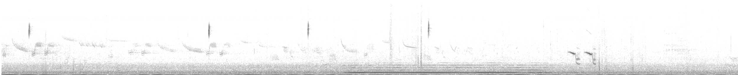 strnad obojkový - ML645251742