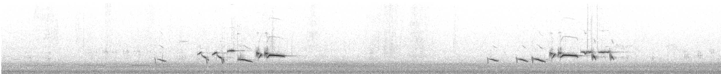 strnad obojkový - ML645251743