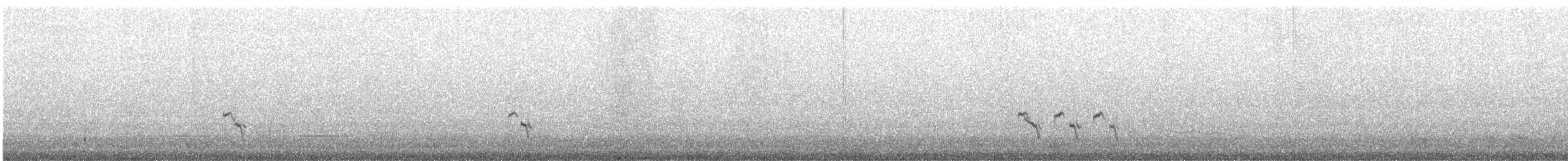 strnad obojkový - ML645251745