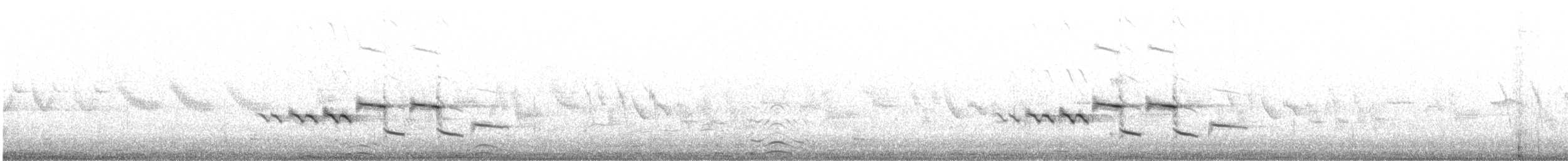 strnad obojkový - ML645251747