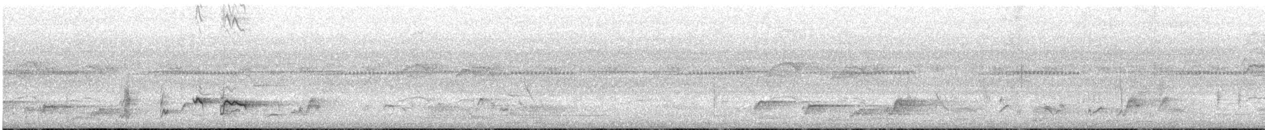 Common Bulbul (Dark-capped) - ML645251881