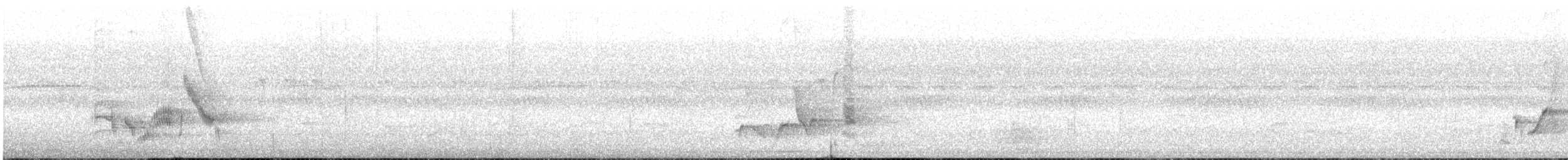 Black-bellied Starling - ML645251886