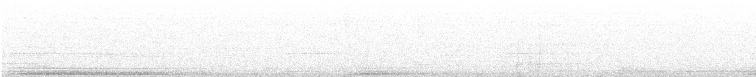 Barred Owl - ML645251924