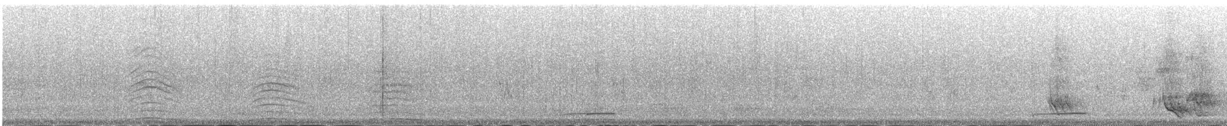 Usapal turkiarra - ML645251951