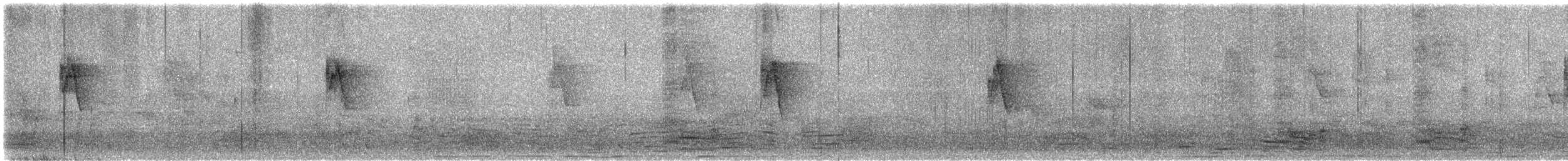 Txio berdexka - ML645251954