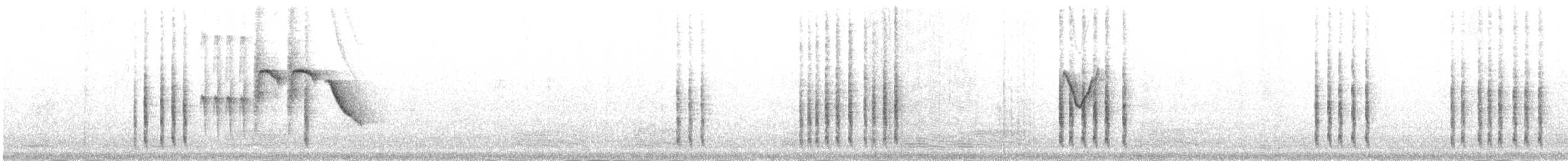 Amilotx zuri-urdina - ML645251985